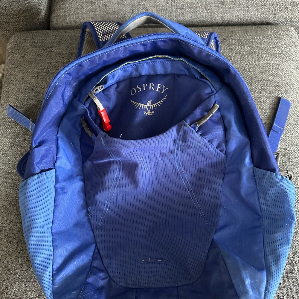 Osprey Kid’s Blue Backpack